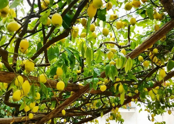 Casa vacanze A Passo Duomo *